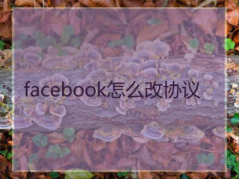 facebook怎么改协议