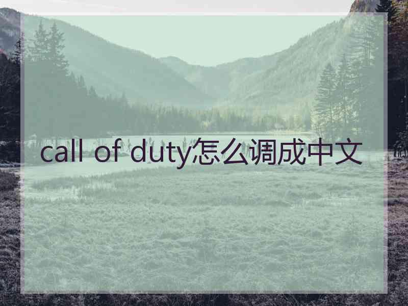 call of duty怎么调成中文