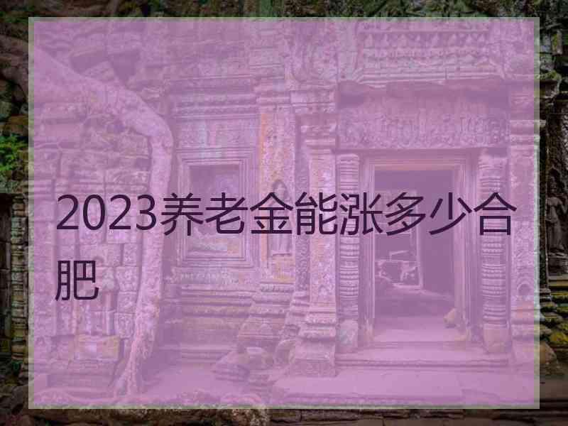 2023养老金能涨多少合肥