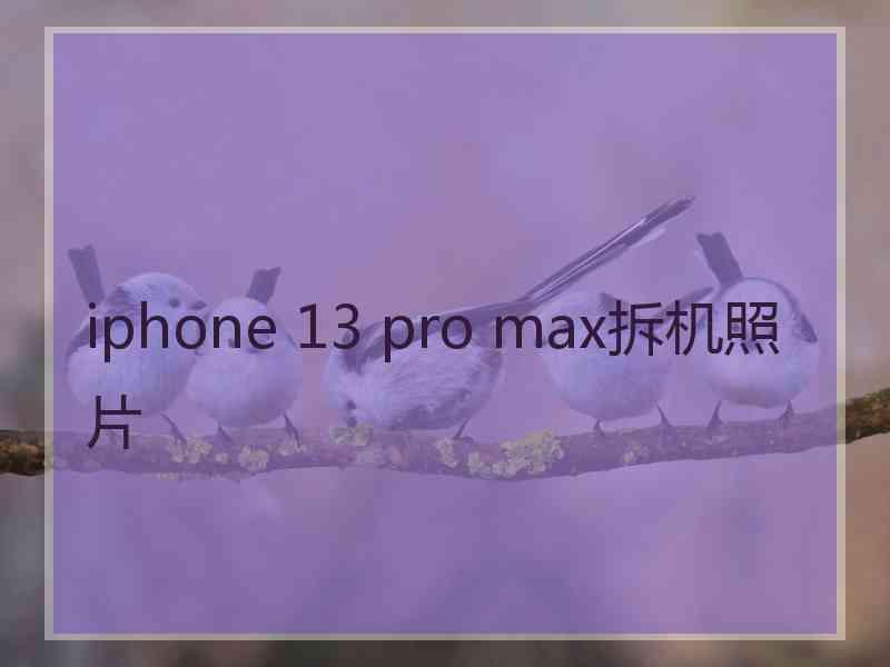 iphone 13 pro max拆机照片