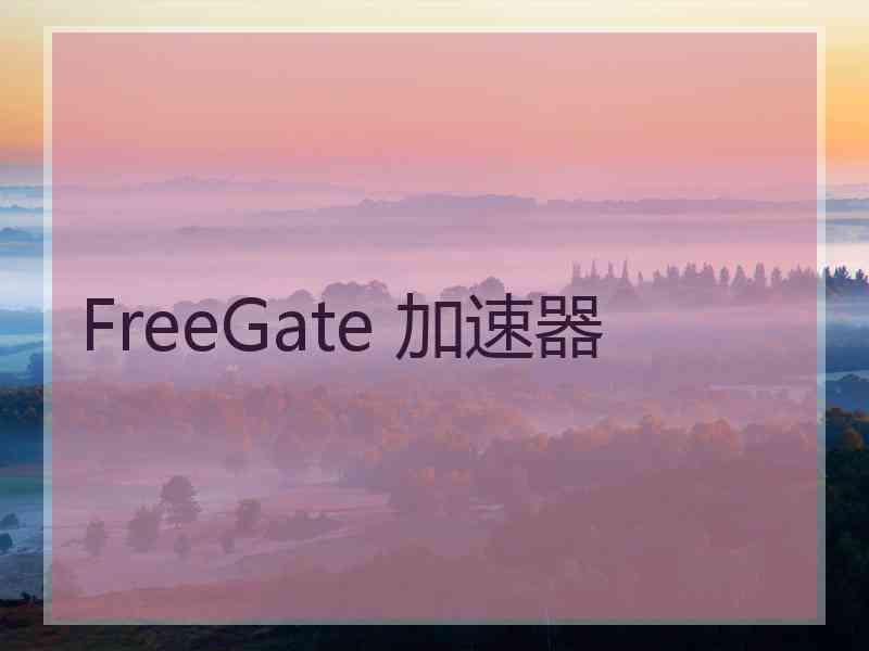 FreeGate 加速器