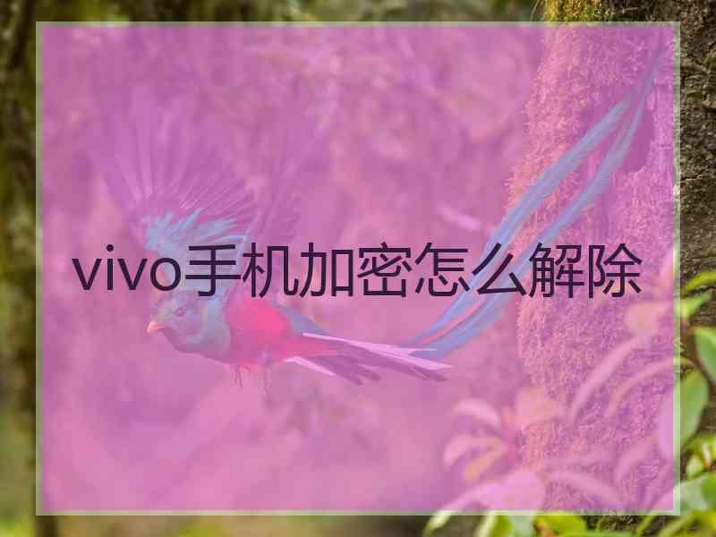 vivo手机加密怎么解除