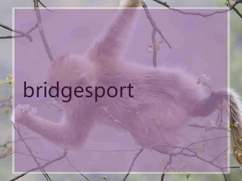 bridgesport