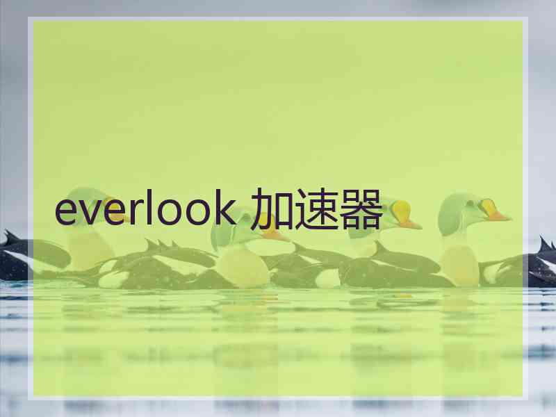 everlook 加速器