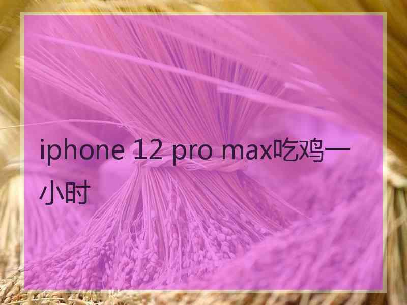 iphone 12 pro max吃鸡一小时