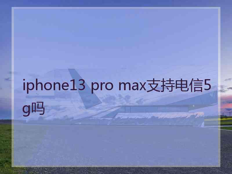 iphone13 pro max支持电信5g吗