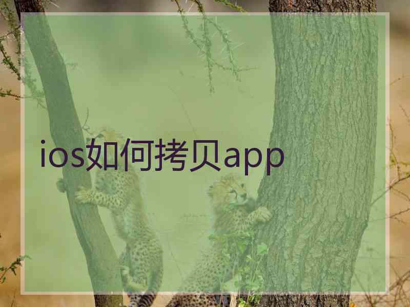 ios如何拷贝app