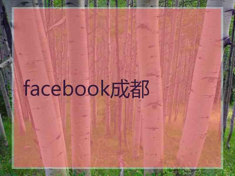 facebook成都