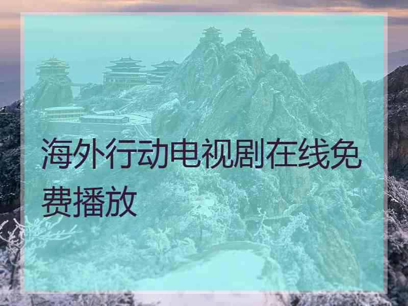 海外行动电视剧在线免费播放