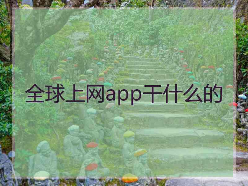 全球上网app干什么的