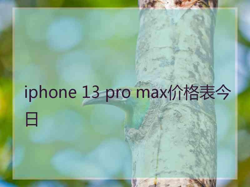 iphone 13 pro max价格表今日