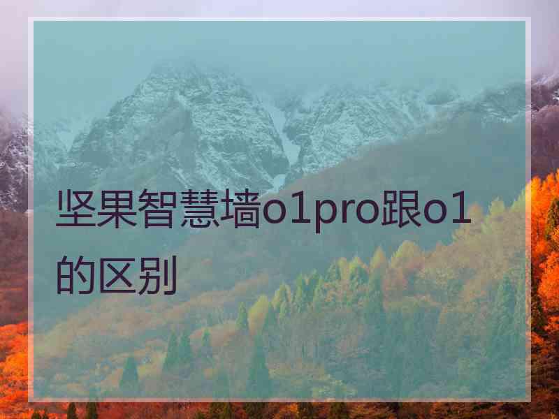 坚果智慧墙o1pro跟o1的区别