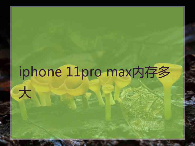 iphone 11pro max内存多大