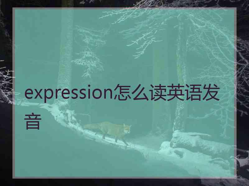 expression怎么读英语发音