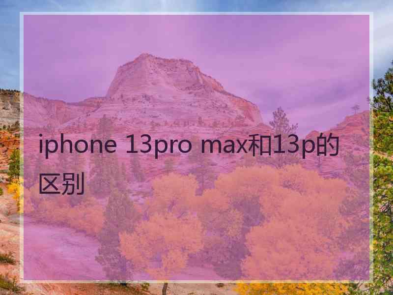 iphone 13pro max和13p的区别