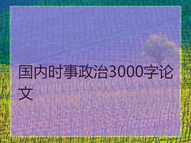 国内时事政治3000字论文