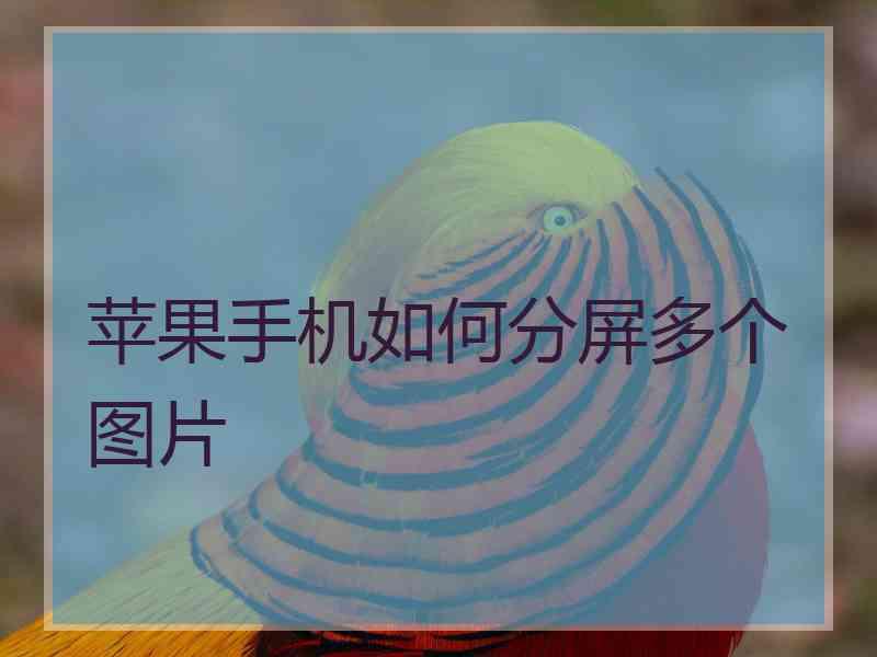 苹果手机如何分屏多个图片