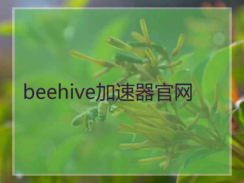 beehive加速器官网