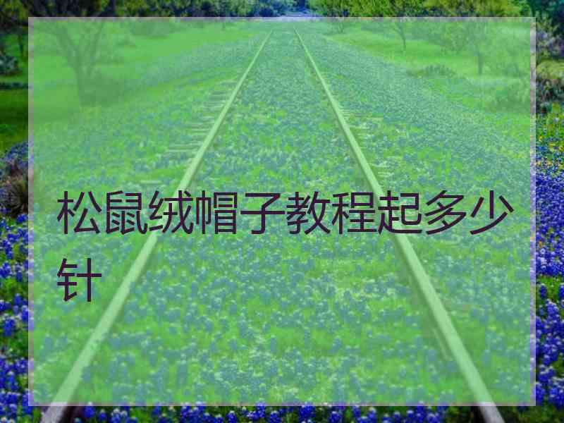 松鼠绒帽子教程起多少针