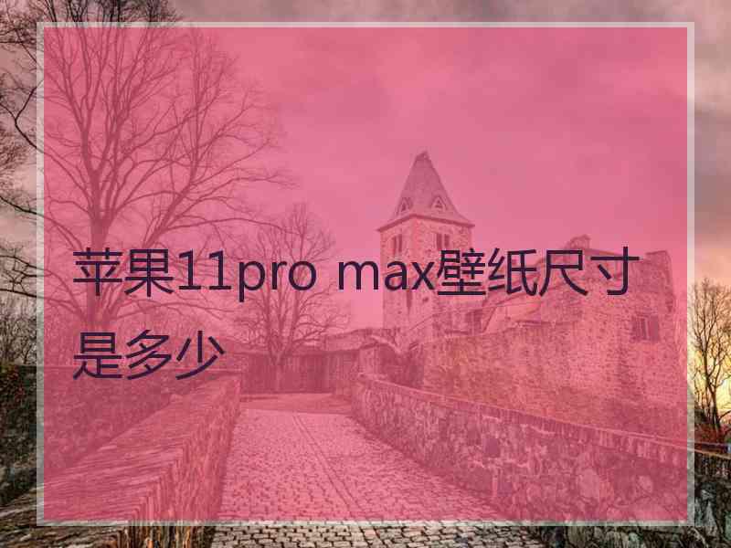 苹果11pro max壁纸尺寸是多少