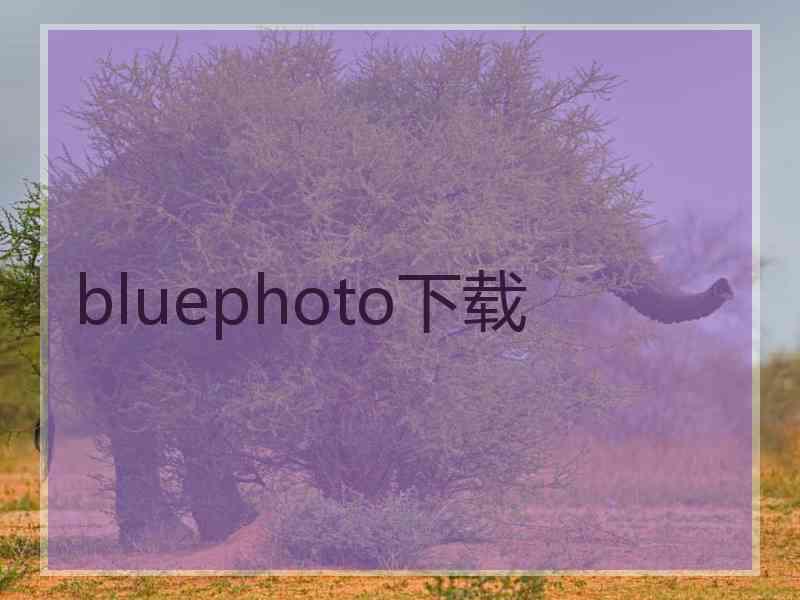 bluephoto下载