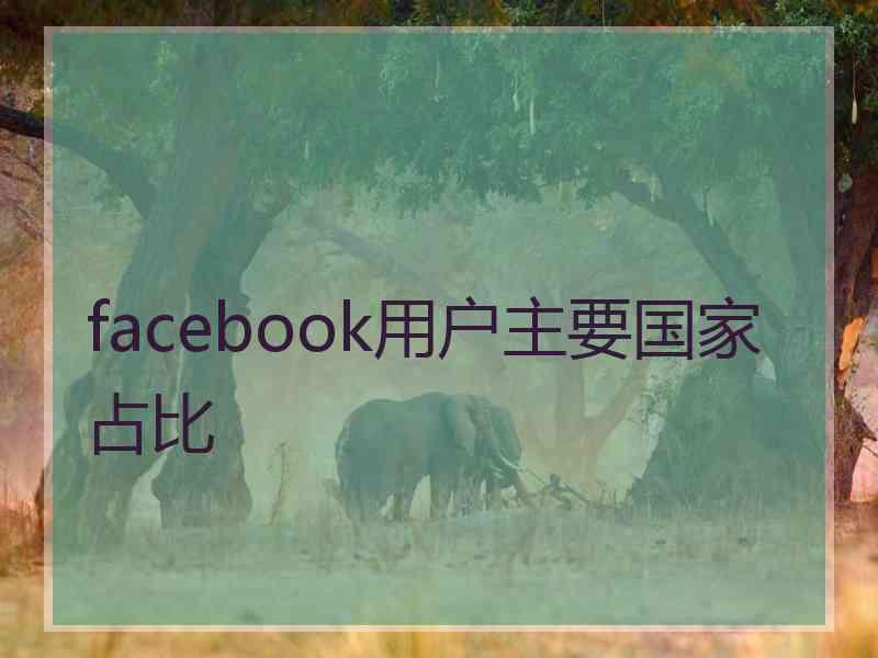 facebook用户主要国家占比