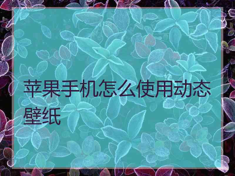 苹果手机怎么使用动态壁纸