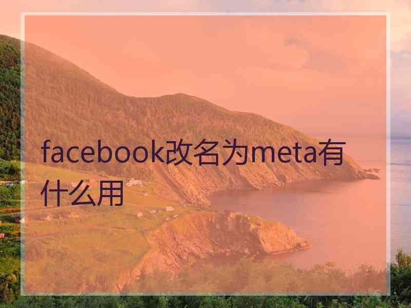 facebook改名为meta有什么用