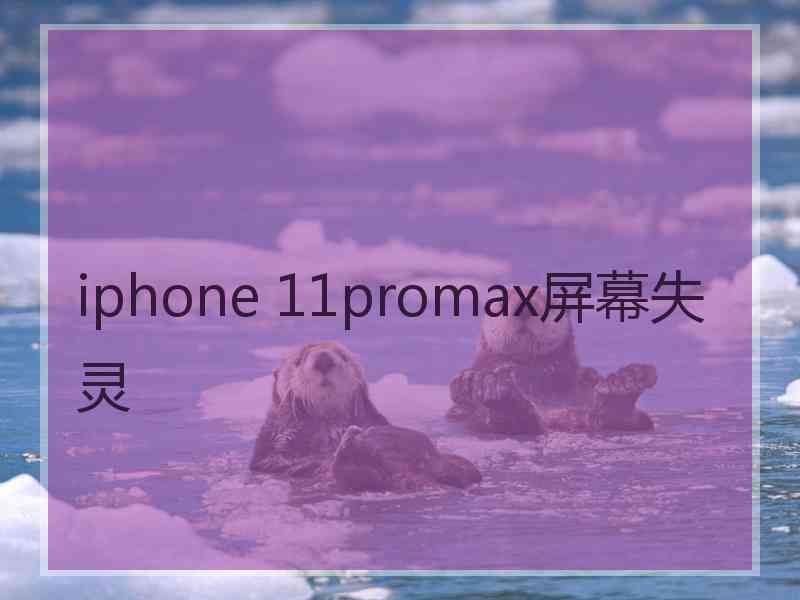 iphone 11promax屏幕失灵