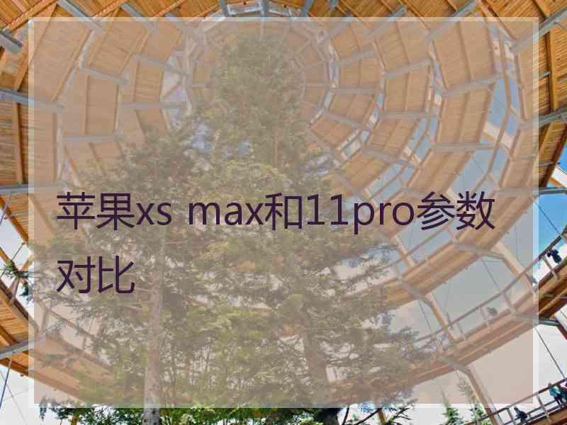 苹果xs max和11pro参数对比