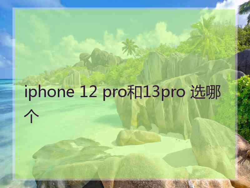 iphone 12 pro和13pro 选哪个