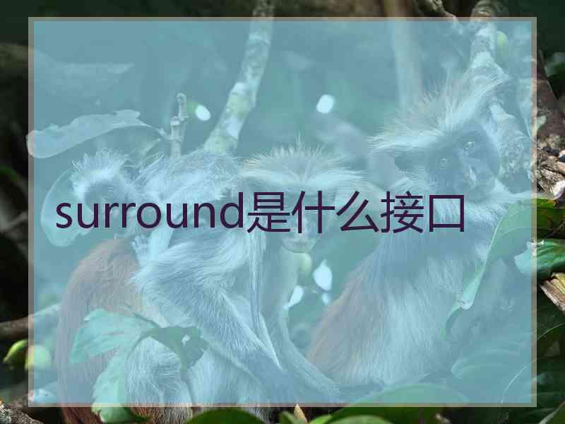 surround是什么接口