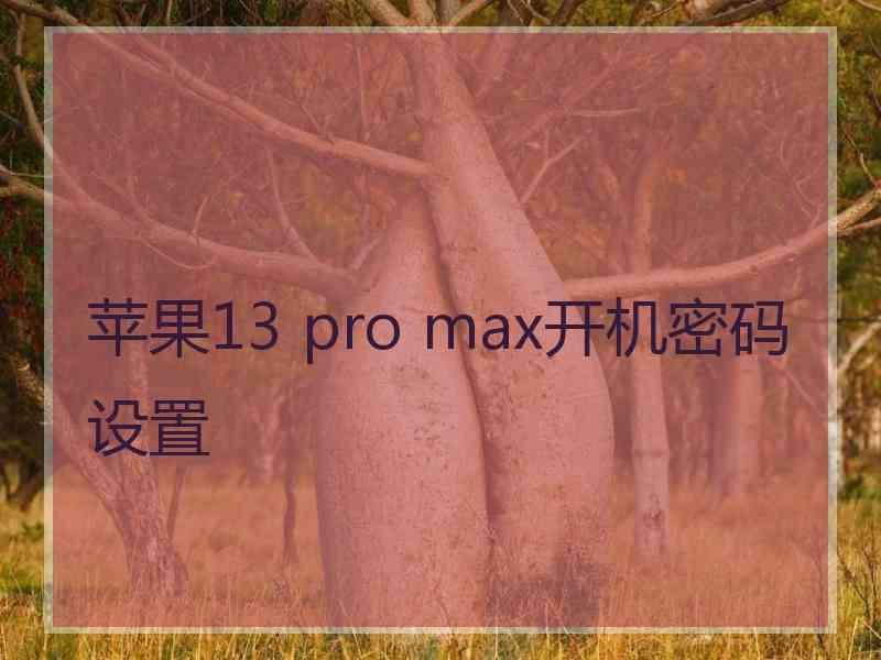 苹果13 pro max开机密码设置