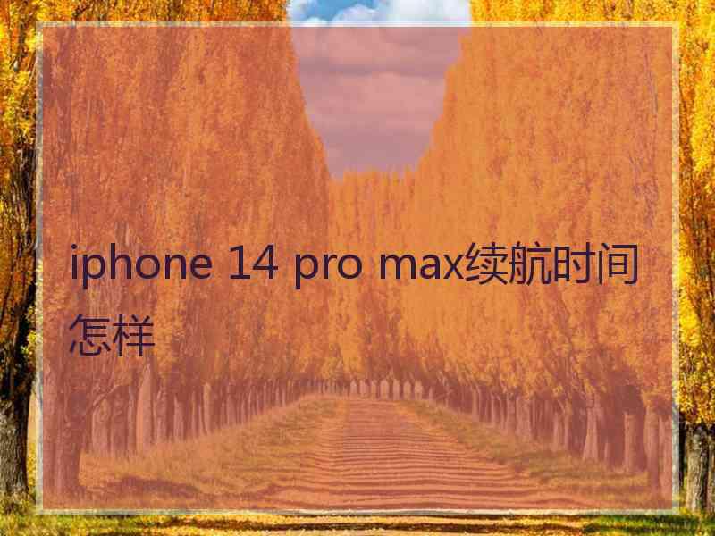 iphone 14 pro max续航时间怎样