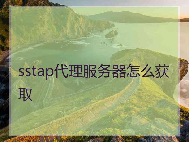 sstap代理服务器怎么获取