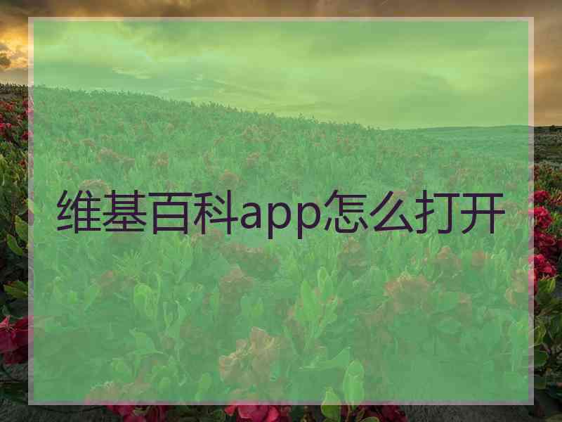 维基百科app怎么打开