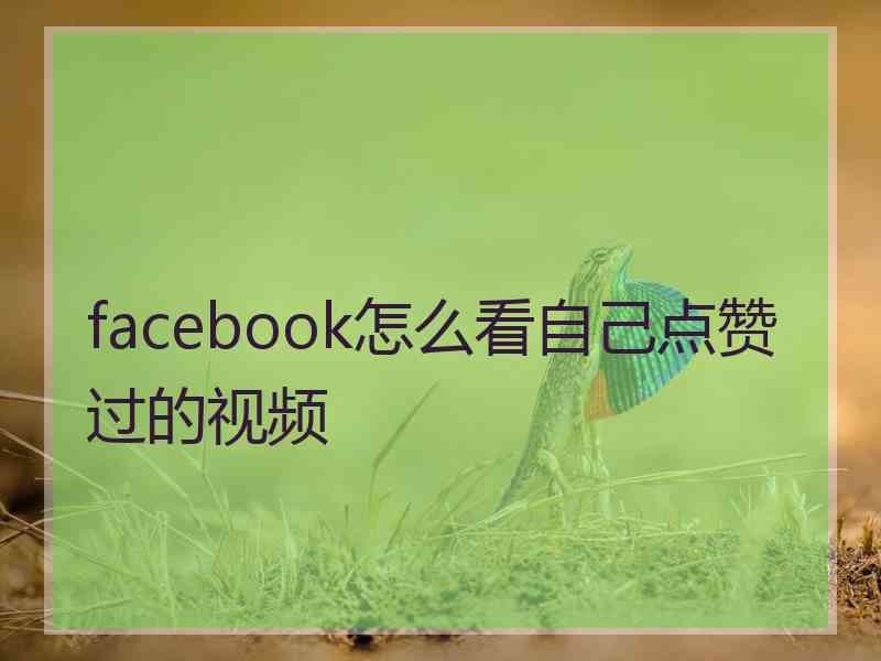 facebook怎么看自己点赞过的视频