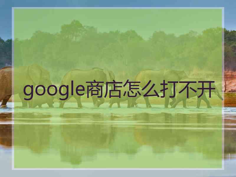 google商店怎么打不开