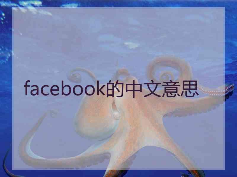 facebook的中文意思