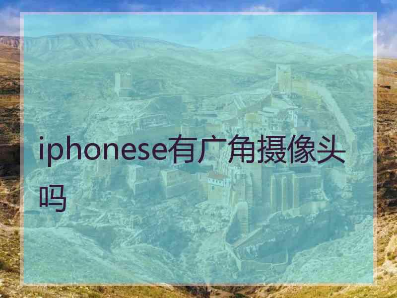 iphonese有广角摄像头吗