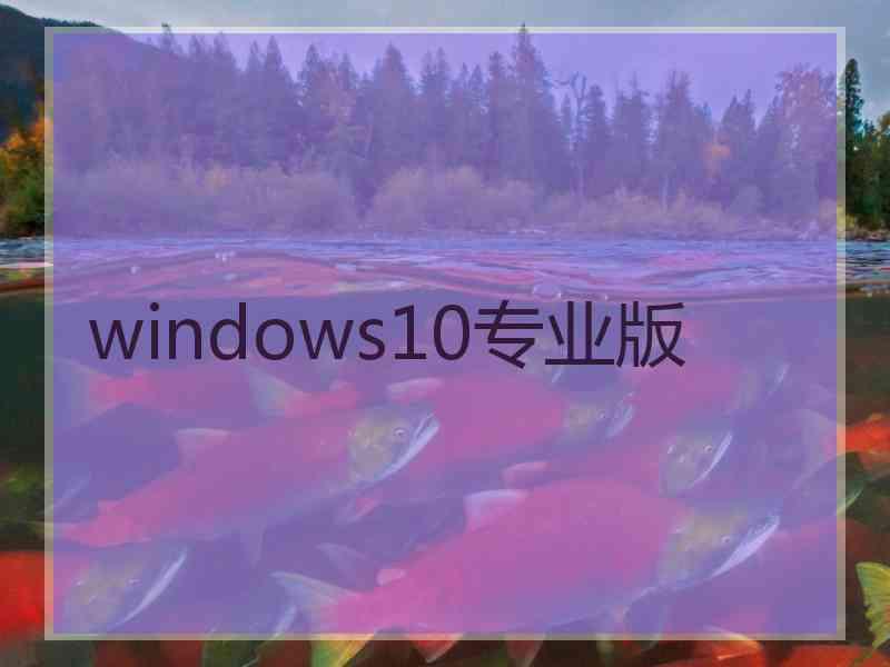 windows10专业版