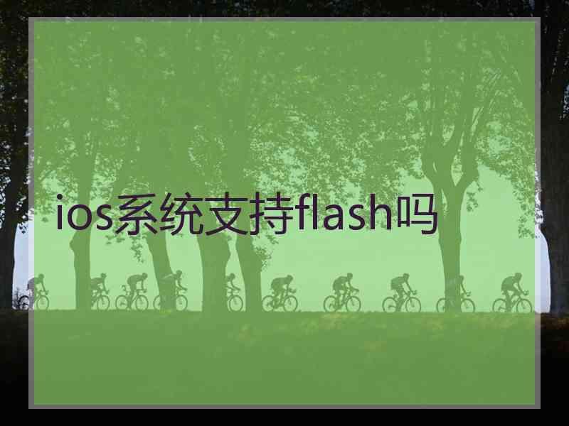 ios系统支持flash吗