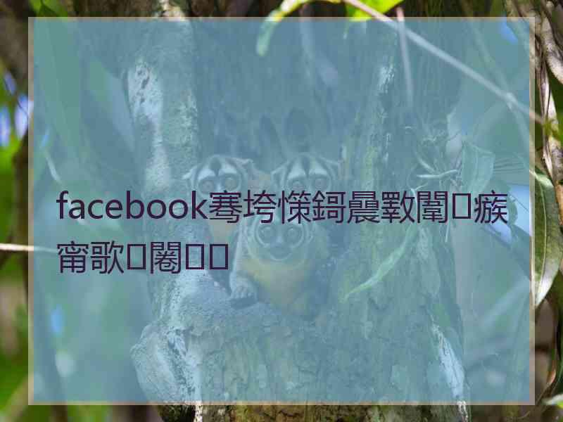 facebook骞垮憡鎶曟斁闈㈣瘯甯歌闂