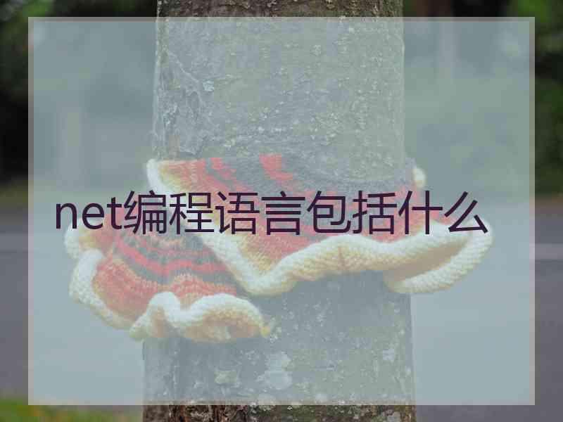 net编程语言包括什么