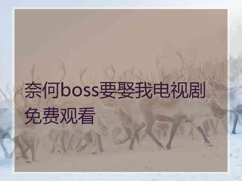 奈何boss要娶我电视剧免费观看