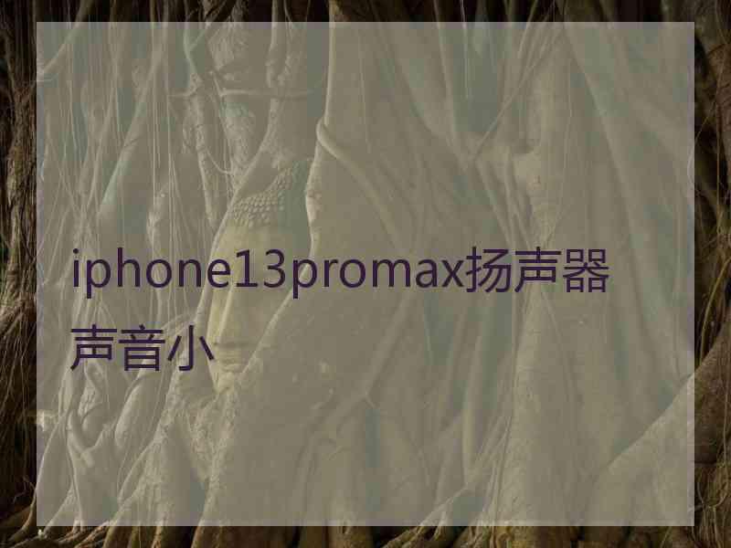 iphone13promax扬声器声音小