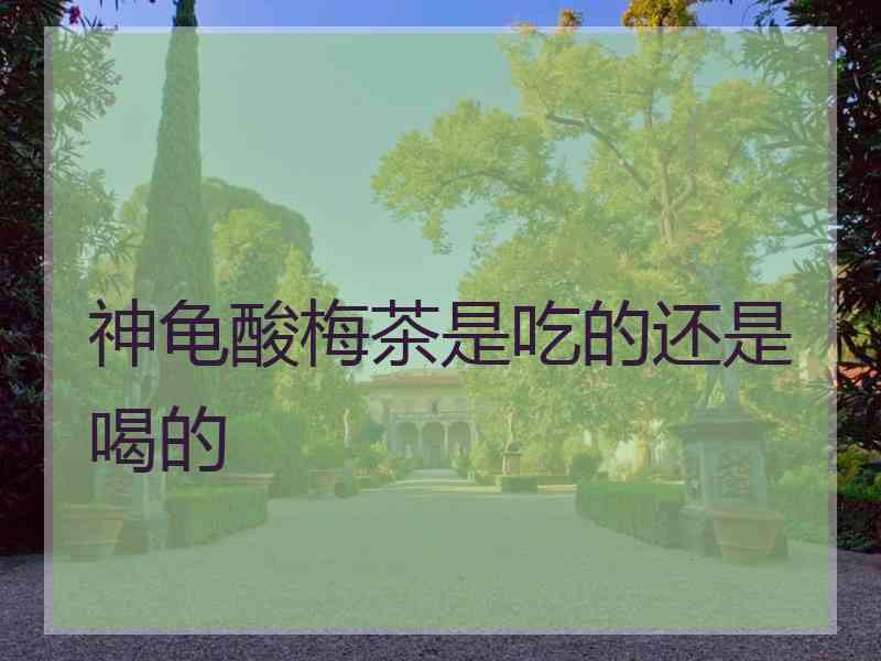 神龟酸梅茶是吃的还是喝的