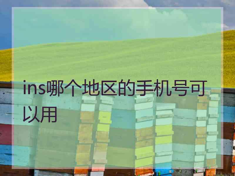 ins哪个地区的手机号可以用