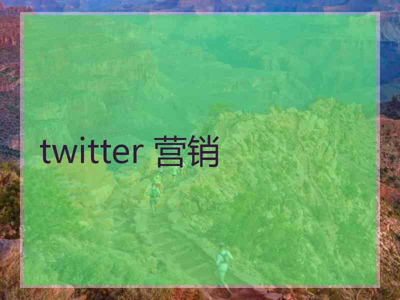 twitter 营销