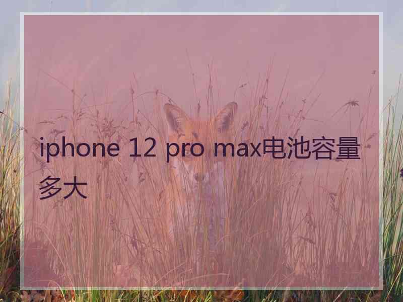 iphone 12 pro max电池容量多大